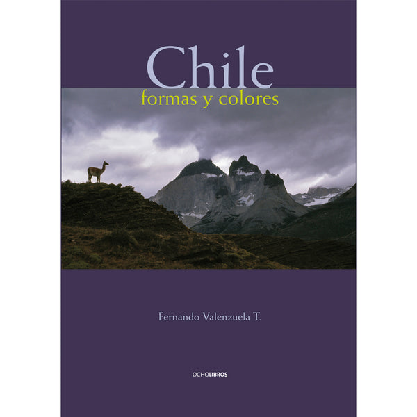 Fernando Valenzuela | Chile - Formas y colores